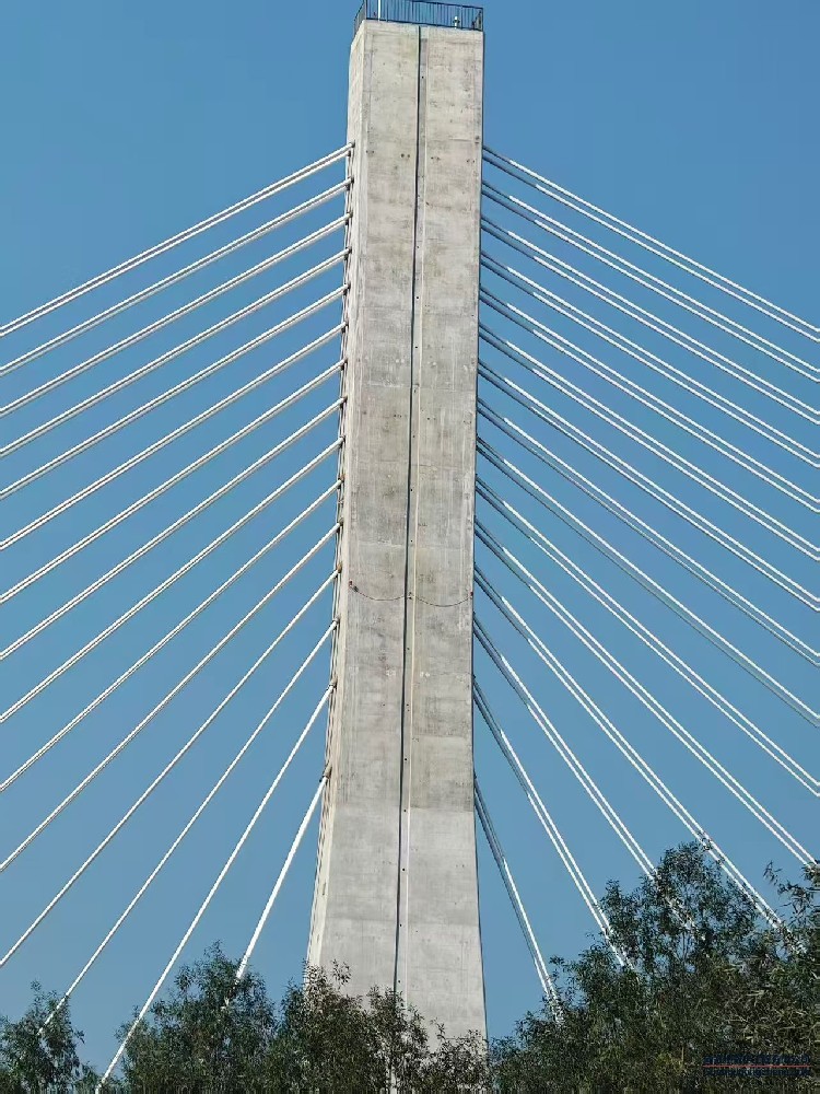 1763016396169742.jpg 95b0b585f48a6e6a497c7dbed72f8c99.jpg